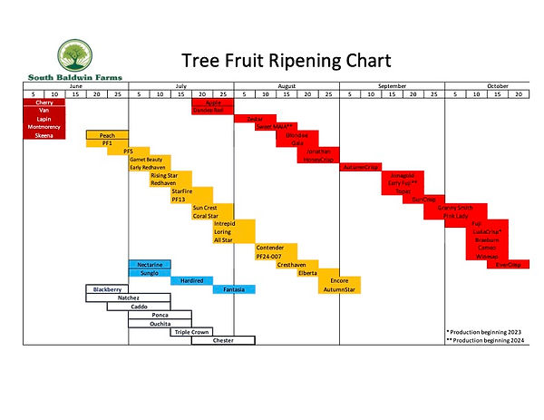 Ripening Chart | South Baldwin Farms